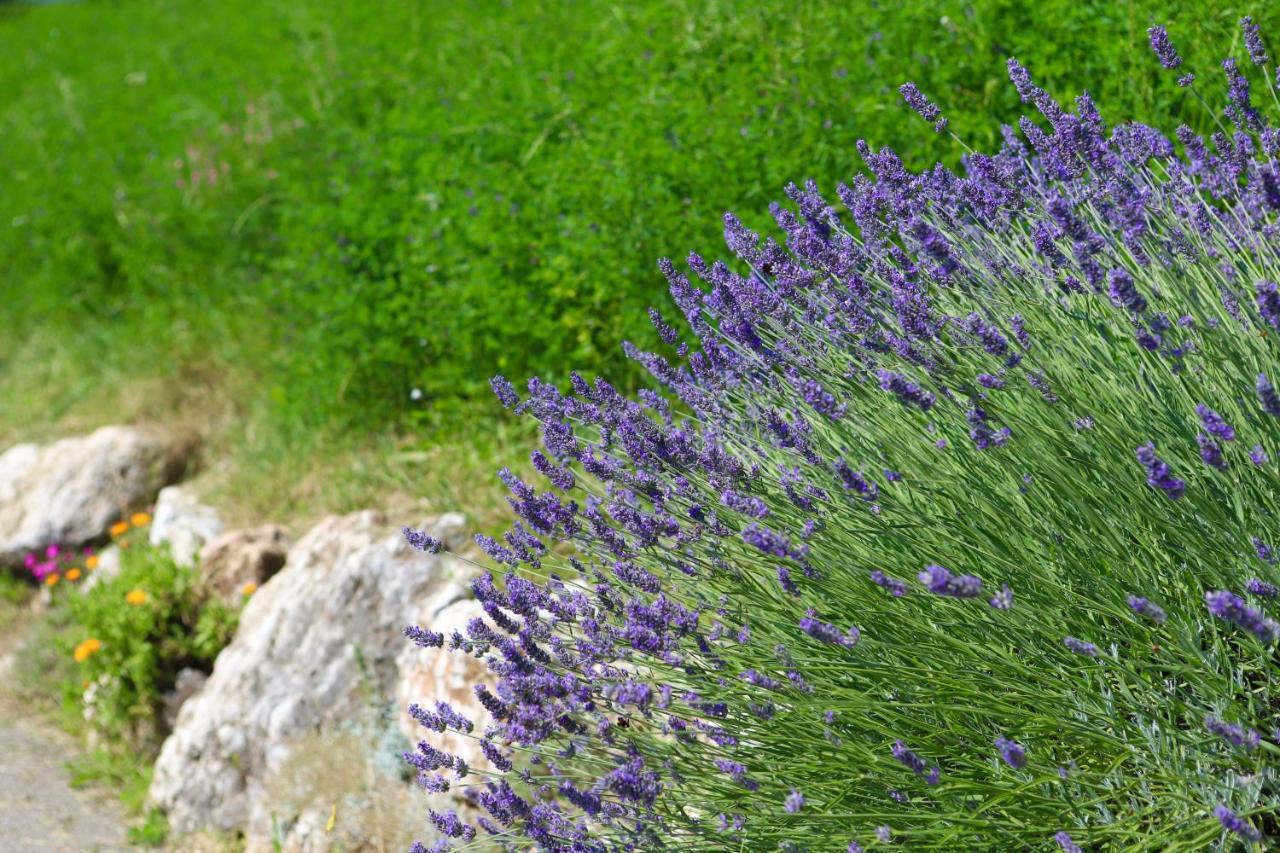 Agriturismo Fattoria Monte Baldo Vista Lago Каприно Веронезе Екстериор снимка